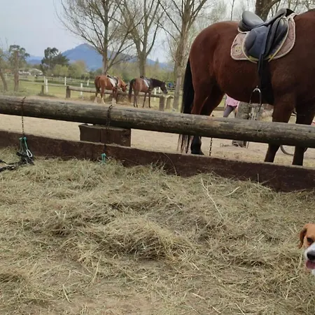 Brisa Del Mar דירה לרדו