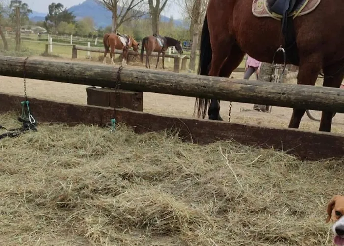 Brisa Del Mar Апартаменты Ларедо